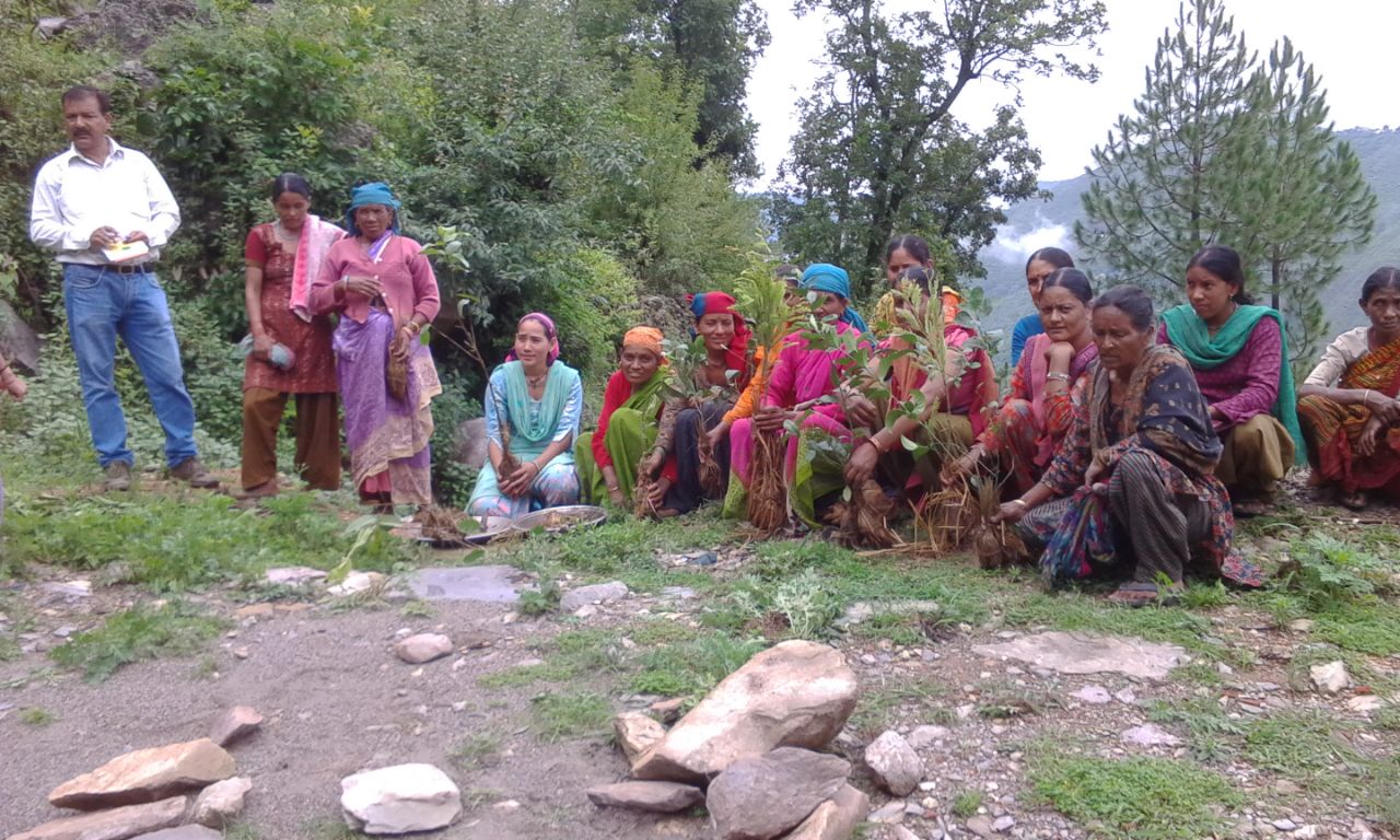 Community Development